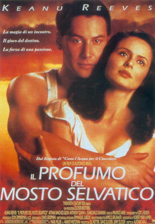 Foto Il Profumo del Mosto Selvatico Film, Serial, Recensione, Cinema